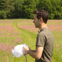 Dave Angelini (@aphanotus) 's Twitter Profile