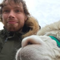 David Pascall (@davidandthebees) 's Twitter Profile