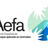AEF-AEFA Asociación (@aefaaef) 's Twitter Profile