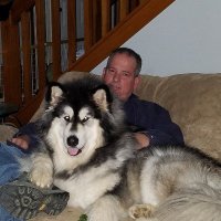 Dave VonSchriltz (@vonschriltzdave) 's Twitter Profile