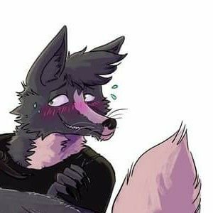 tannfoxjaxi's profile picture. just a quiet shy guy , gamer music lover and outdoors Men will definitely help you pitch a tent