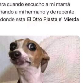 coin_mundo's profile picture. Hola a todo el mundo.