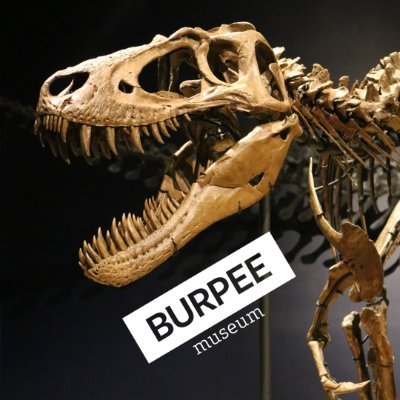 Burpee is open to discover once again every day from 10:00 am - 5:00 pm. Keep your eyes our for our temporary East Africa exhibit coming end of June!