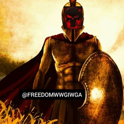 FREEDOMWWGIWGA Profile Picture