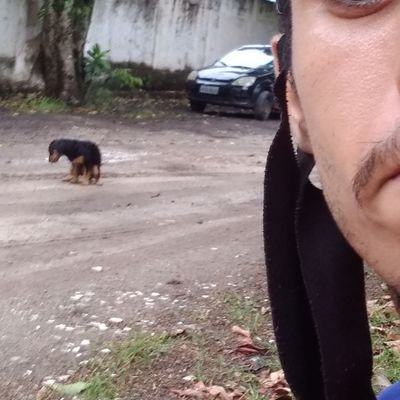 Rafael72979982's profile picture. inderect to society