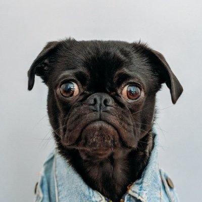 newco_2021's profile picture. No Bio