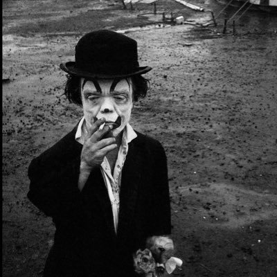 josefosolis's profile picture. #AMC #APE