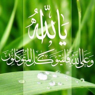 الحياةُ أجمل عندما نشكر الله على ما ذهب منا، وما بقي لدينا، وما سيأتي. مثابرتك سرّ نجاحك، إصرارك سرّ تفوقك، وصبرك سرّ تميّزك.