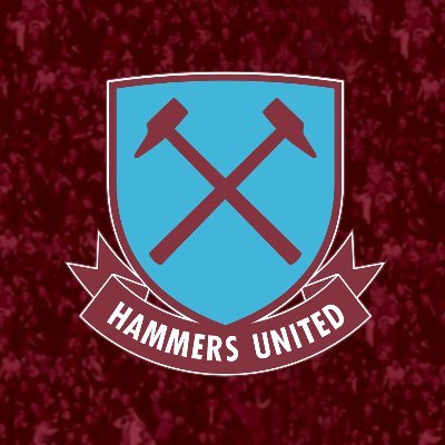 Hammers United is a West Ham United FSA affiliated supporters group dedicated to improving things for all West Ham fans. #COYI #GSBOUT #YourClubYourVoice