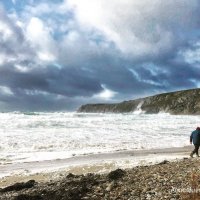 Cap Sizun (@sizuncap) 's Twitter Profile