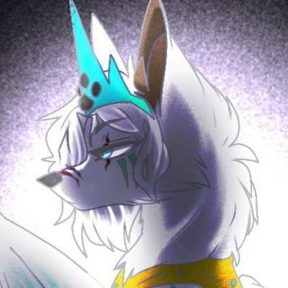 🩵|~Alaska Wolf~|🩵さんのプロフィール画像