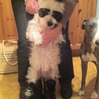 Shall429's profile picture. lover not a fighter