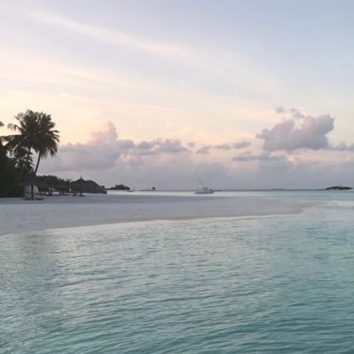 raalwazzan's profile picture. Always learning, sometimes teaching. • Linguistics • Academic Leadership • Higher Education • Reading & Travel •