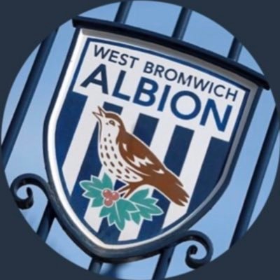 AllAlbionFans Profile Picture