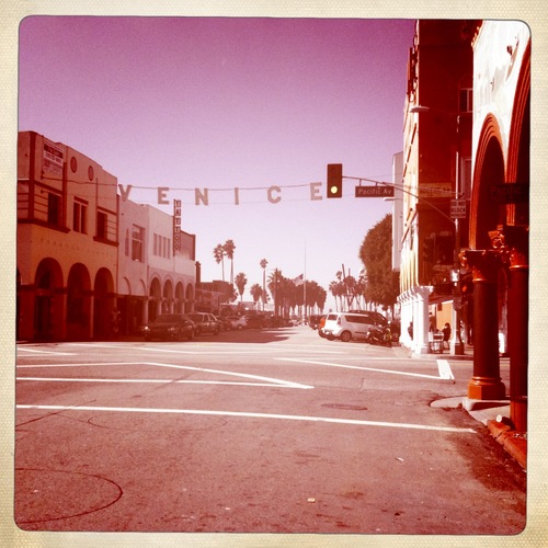 venicehouses's profile picture. 