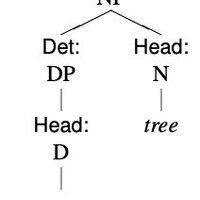 Tree_a_day🌲🌴🌳 (@dailysyntaxtree) 's Twitter Profile