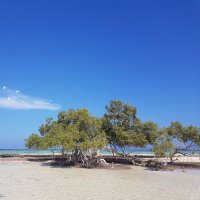 Hidden gems of Egypt (@hidden_gems_egy) Twitter profile photo