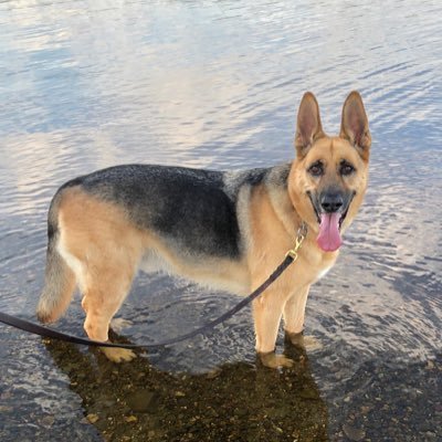 ElaineCross99's profile picture. 