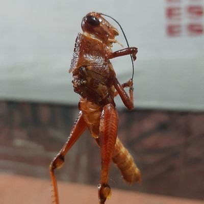 perfectly imperfect. Sudut pandang orang pertama, saya sebagai pemeran utama