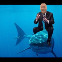 Bryce Carpenter (@sharkcirclelarp) 's Twitter Profile