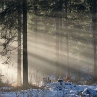 retdyd8976 (@retdyd8976) 's Twitter Profile
