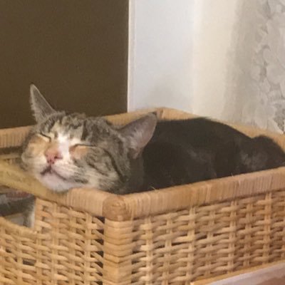 daniel_hougardy's profile picture.