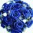 bluemoonのアイコン