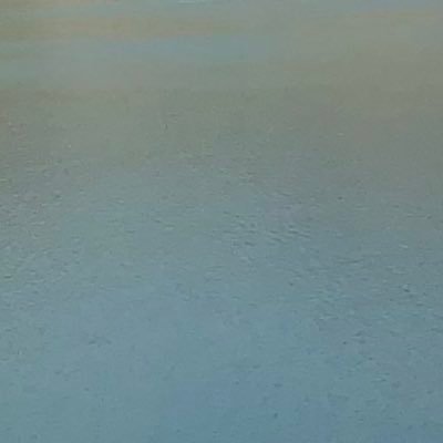 wrinkledduvet's profile picture. curious