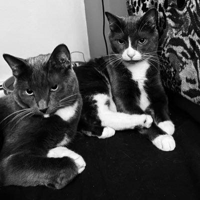 funkyflynena's profile picture. 