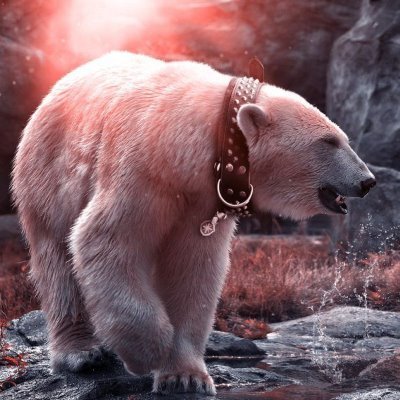 D4rkEnergYYY's profile picture. 