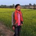 Namo kisan (@namomeenan03) Twitter profile photo Namo kisan (@namomeenan03) Twitter profile photo