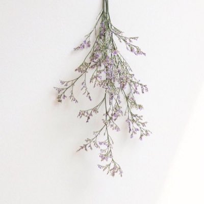 y23496110's profile picture. 成城 経営 P組