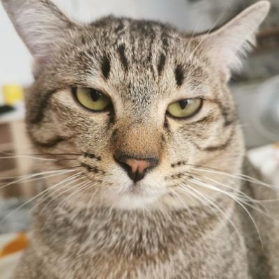 Takkzさんのプロフィール画像