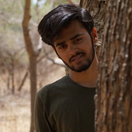 HarshuSamnani's profile picture. MERN stack developer • JavaScript • Cyber Security Enthusiast •
Linkin Park