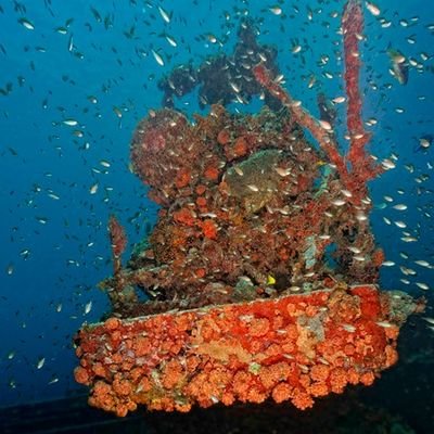 Scuba Dive Center ~ The Art of Diving🌊🤿 Snorkeling & Scuba Diving Trips ~ Free Nitrox ~ Wrecks, Reefs, & Sculpture Park ~ Courses, Rebreather, & Boat Charters