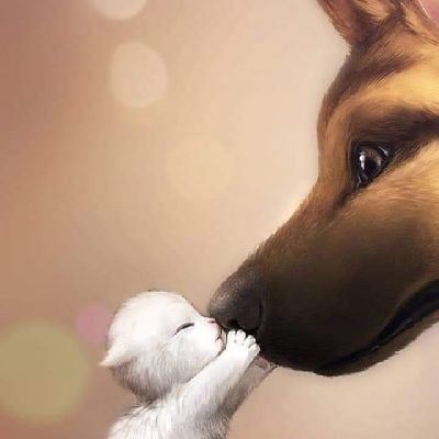 Sedion2005's profile picture. We live life once... you have to enjoy it and let go of worry... Real Madrid fan