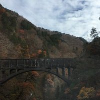 ﾄﾐｨｰ (@toudourei) 's Twitter Profile Photo