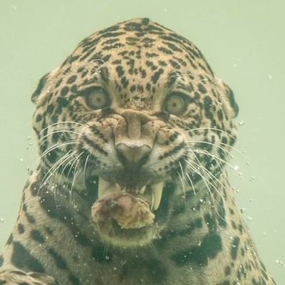 HK77447385's profile picture. 