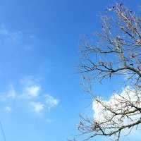 2003floria (@2003floria) 's Twitter Profile