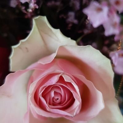 aminasmummy's profile picture. Mother | Wife | Daughter | Sister | Aunt | Teacher | Baker | Foodie/Fatty