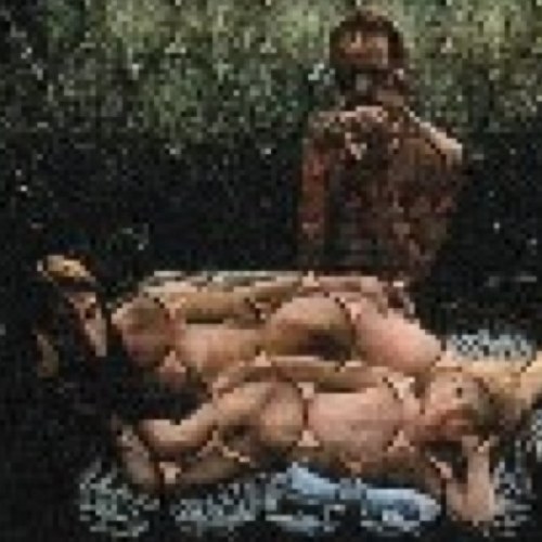 cadentianova's profile picture. 