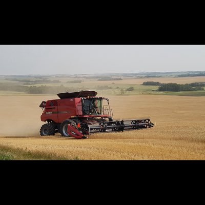 Grain farmer from Lavoy, Alberta , Canada.