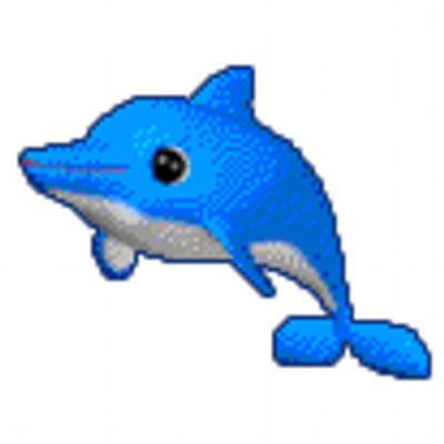 イルカのカイル🐬さんのプロフィール画像