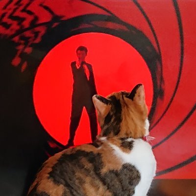 単行本発売中!「彼とねこが待っている。①②③(KADOKAWA)
「子猫がわたしにくれたもの」(双葉社)
竹書房「本当にあった愉快な話 芸能ズキュン!」(←長い!)にて「うわさの芸能情報局」連載中
東京アニメーションカレッジ専門学校非常勤講師
アルタイル(サバ白)&ベガ(三毛)がかわゆくて仕方ないの(^^)