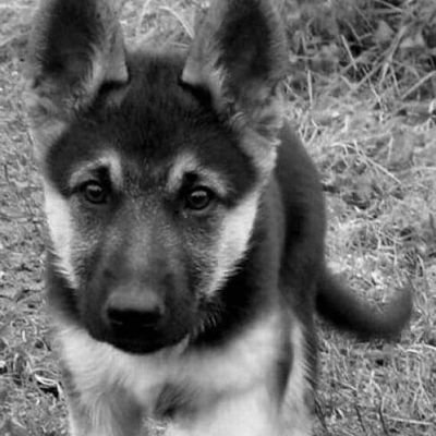 mikecalm88's profile picture. 