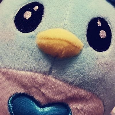 早乙女🌙さんのプロフィール画像