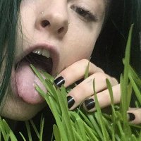 notahuman (@coldpi3) 's Twitter Profile