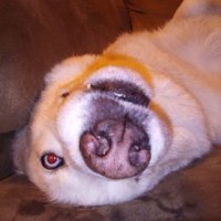 Scott Berry (@scottrberry0722) 's Twitter Profile Photo Scott Berry (@scottrberry0722) 's Twitter Profile Photo