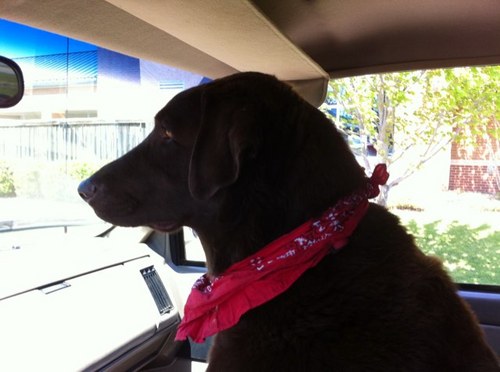 1riordan's profile picture. 