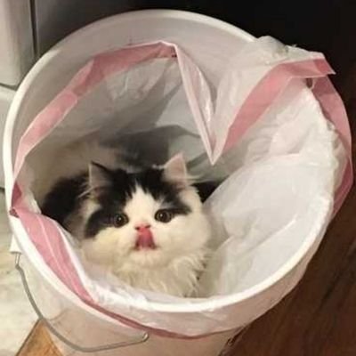 jifteddemon69's profile picture. He/They (26)